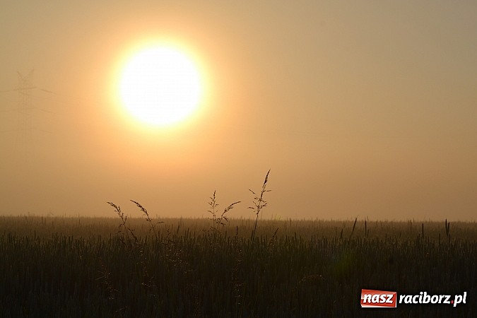Zdjęcie w galerii na portalu naszraciborz.pl: Magiczna poranna mgła nad Raciborzem wiadomości z regionu