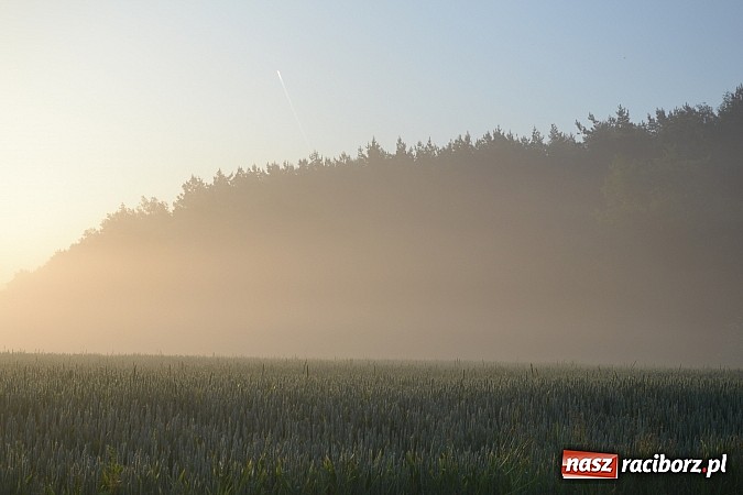Zdjęcie w galerii na portalu naszraciborz.pl: Magiczna poranna mgła nad Raciborzem wiadomości z regionu