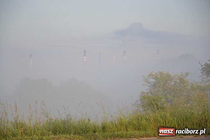 Zdjęcie w galerii na portalu naszraciborz.pl: Magiczna poranna mgła nad Raciborzem wiadomości z regionu
