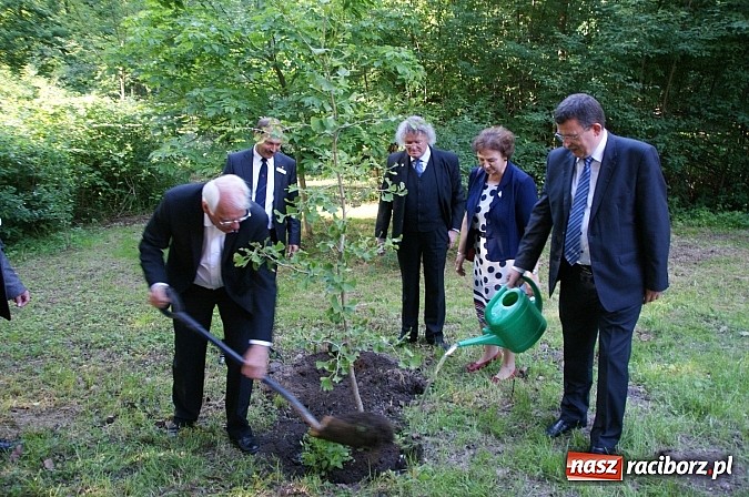 Zdjęcie w galerii na portalu naszraciborz.pl: Dekada partnerstwa z Rendsburgiem wiadomości z regionu