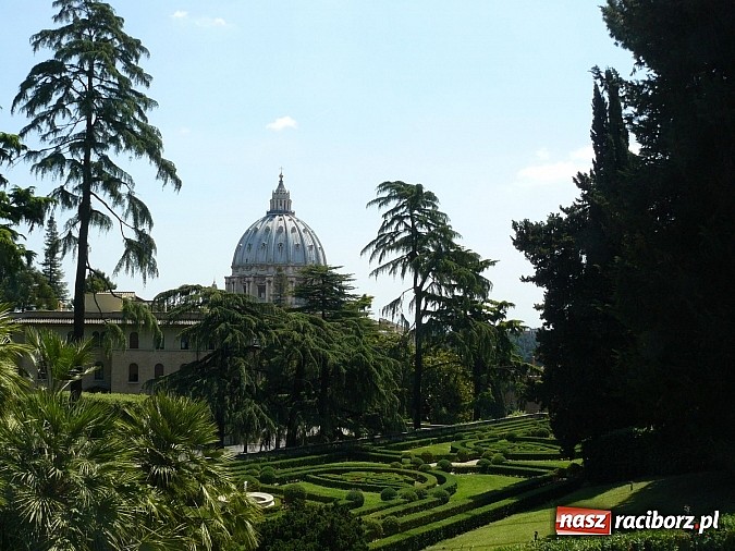 Zdjęcie w galerii na portalu naszraciborz.pl: Viva Italia! Uczniowie ZSZ na włoskich szlakach wiadomości z regionu