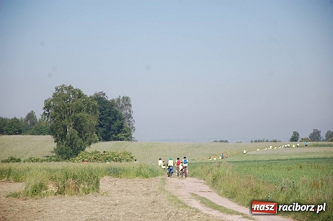 Zdjęcie w galerii na portalu naszraciborz.pl: Uczestnicy projektu Przez sport do zdrowia zwiedzili raciborski zamek wiadomości z regionu