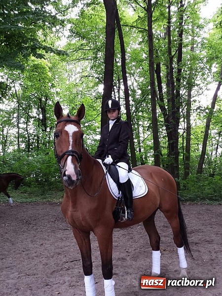 Zdjęcie w galerii na portalu naszraciborz.pl: Raciborzanka Mistrzynią Polski w Ujeżdżeniu! wiadomości z regionu
