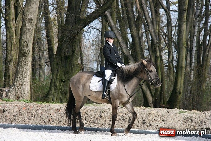 Zdjęcie w galerii na portalu naszraciborz.pl: Raciborzanka Mistrzynią Polski w Ujeżdżeniu! wiadomości z regionu