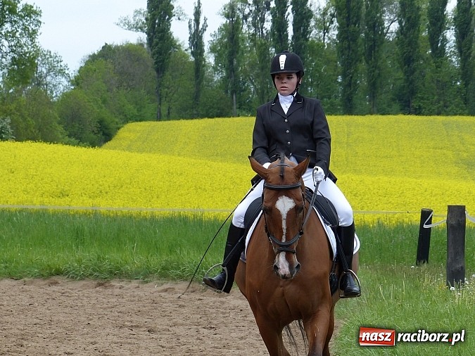 Zdjęcie w galerii na portalu naszraciborz.pl: Raciborzanka Mistrzynią Polski w Ujeżdżeniu! wiadomości z regionu