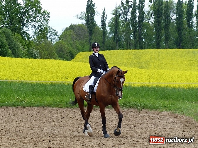 Zdjęcie w galerii na portalu naszraciborz.pl: Raciborzanka Mistrzynią Polski w Ujeżdżeniu! wiadomości z regionu