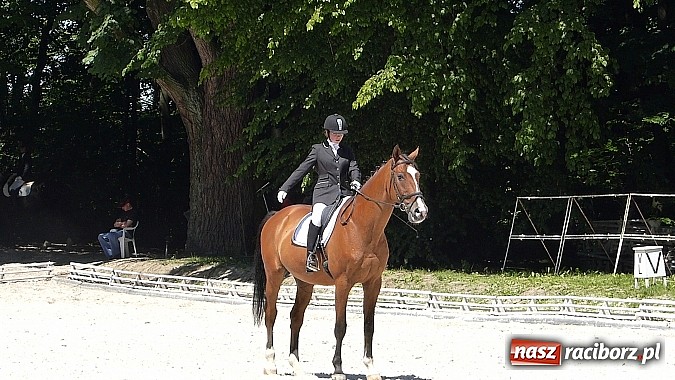 Zdjęcie w galerii na portalu naszraciborz.pl: Raciborzanka Mistrzynią Polski w Ujeżdżeniu! wiadomości z regionu