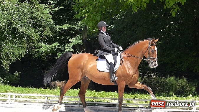 Zdjęcie w galerii na portalu naszraciborz.pl: Raciborzanka Mistrzynią Polski w Ujeżdżeniu! wiadomości z regionu