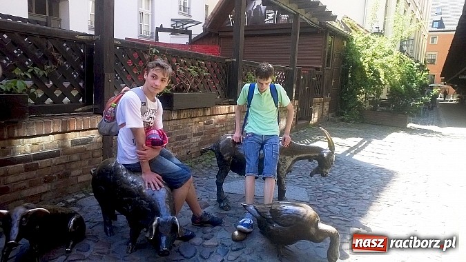 Zdjęcie w galerii na portalu naszraciborz.pl: Wrocław na trasie wycieczki III b z Gimnazjum Nr 5 wiadomości z regionu