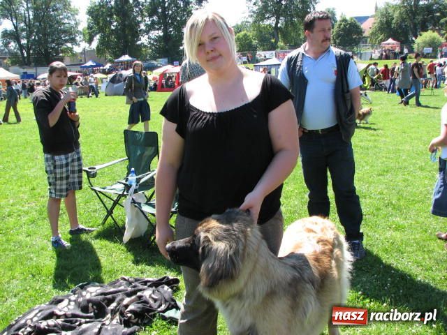 Zdjęcie w galerii na portalu naszraciborz.pl: Psie piękności w Raciborzu wiadomości z regionu