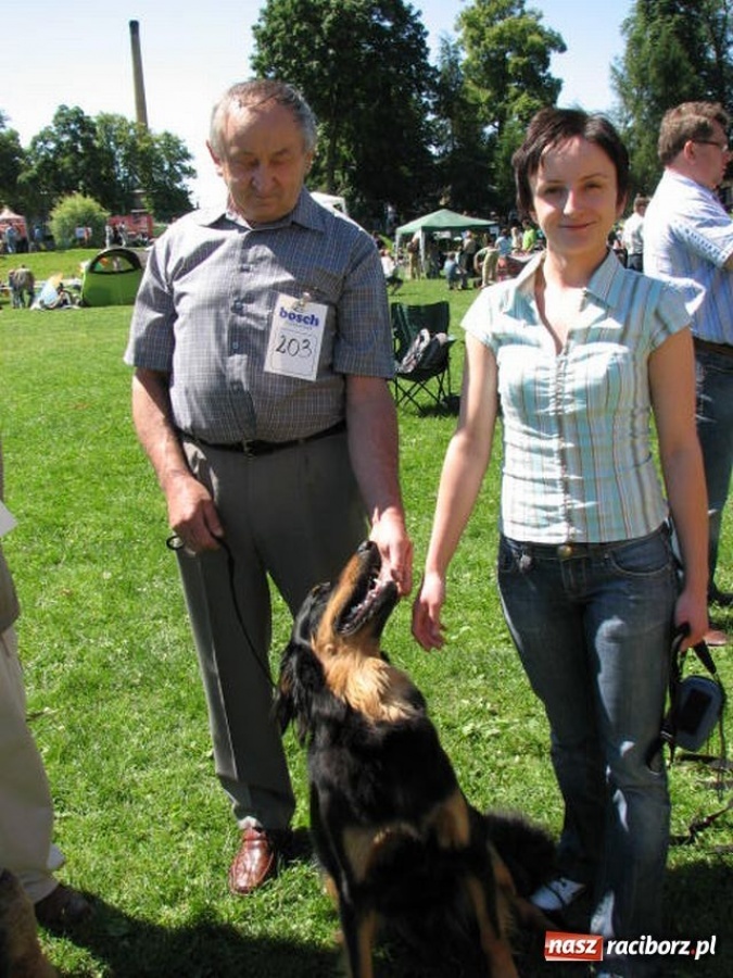 Zdjęcie w galerii na portalu naszraciborz.pl: Psie piękności w Raciborzu wiadomości z regionu