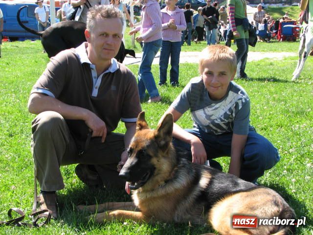Zdjęcie w galerii na portalu naszraciborz.pl: Psie piękności w Raciborzu wiadomości z regionu