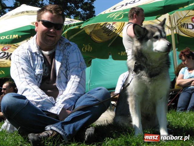 Zdjęcie w galerii na portalu naszraciborz.pl: Psie piękności w Raciborzu wiadomości z regionu