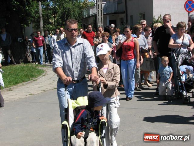Zdjęcie w galerii na portalu naszraciborz.pl: Psie piękności w Raciborzu wiadomości z regionu