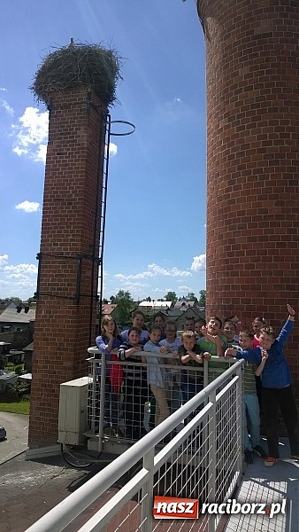 Zdjęcie w galerii na portalu naszraciborz.pl: Rok z życia pewnego pietrowickiego boćka wiadomości z regionu