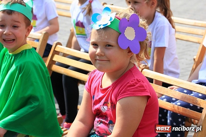 Zdjęcie w galerii na portalu naszraciborz.pl: Piknik ekologiczny dla najmłodszych wiadomości z regionu