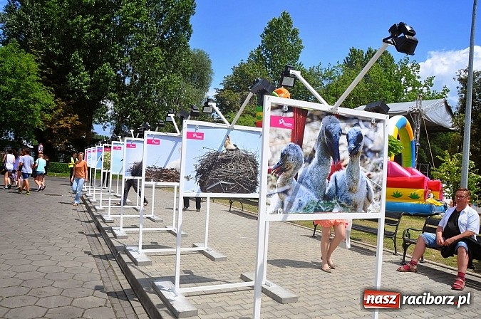 Zdjęcie w galerii na portalu naszraciborz.pl: Za nami I dzień Międzynarodowych Targów Energii Odnawialnej w Raciborzu wiadomości z regionu