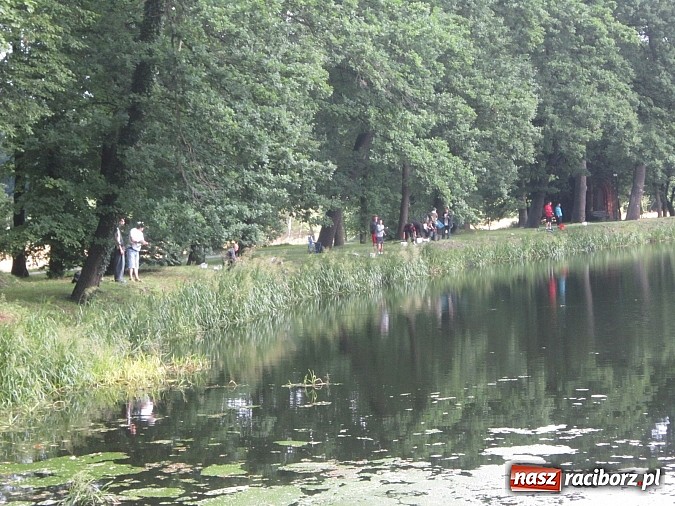 Zdjęcie w galerii na portalu naszraciborz.pl: I Mistrzostwa Polski MOW w Wędkarstwie Spławikowym przy starym opactwie wiadomości z regionu