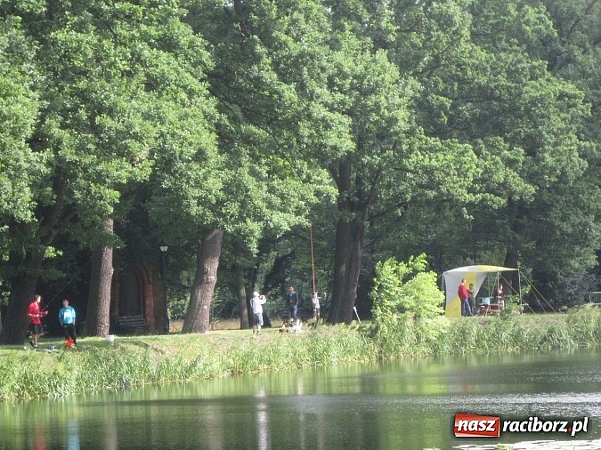 Zdjęcie w galerii na portalu naszraciborz.pl: I Mistrzostwa Polski MOW w Wędkarstwie Spławikowym przy starym opactwie wiadomości z regionu