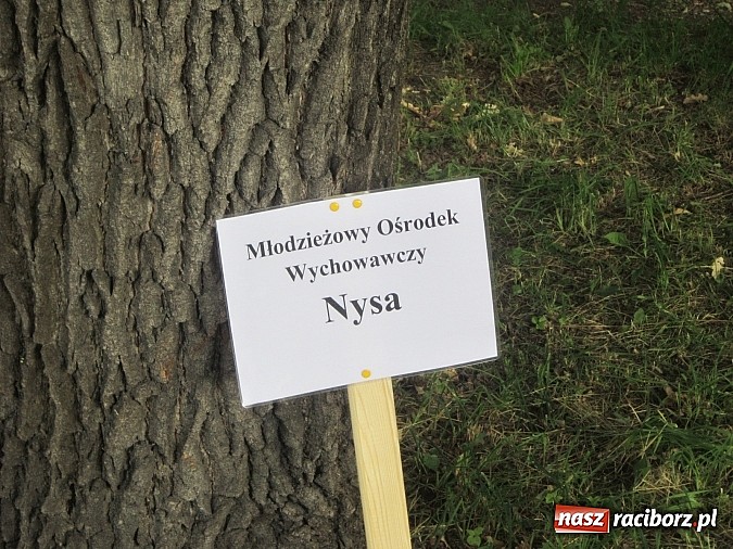 Zdjęcie w galerii na portalu naszraciborz.pl: I Mistrzostwa Polski MOW w Wędkarstwie Spławikowym przy starym opactwie wiadomości z regionu