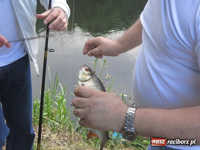 Zdjęcie w galerii na portalu naszraciborz.pl: I Mistrzostwa Polski MOW w Wędkarstwie Spławikowym przy starym opactwie wiadomości z regionu