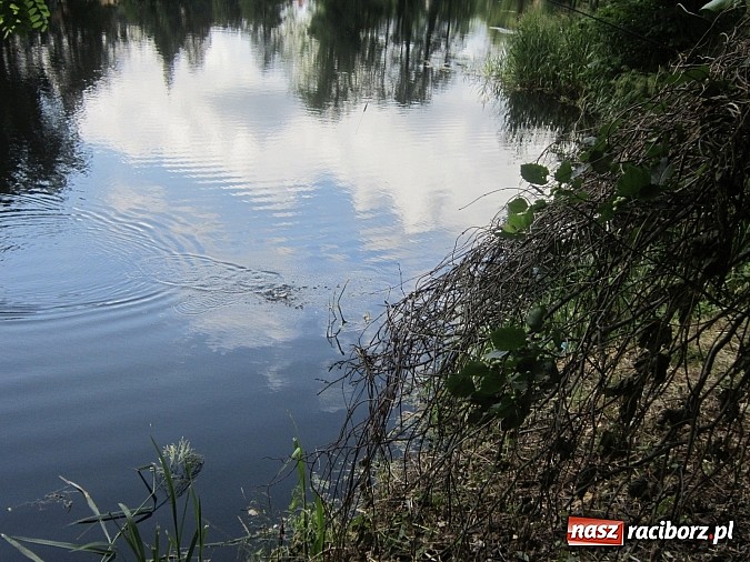 Zdjęcie w galerii na portalu naszraciborz.pl: I Mistrzostwa Polski MOW w Wędkarstwie Spławikowym przy starym opactwie wiadomości z regionu