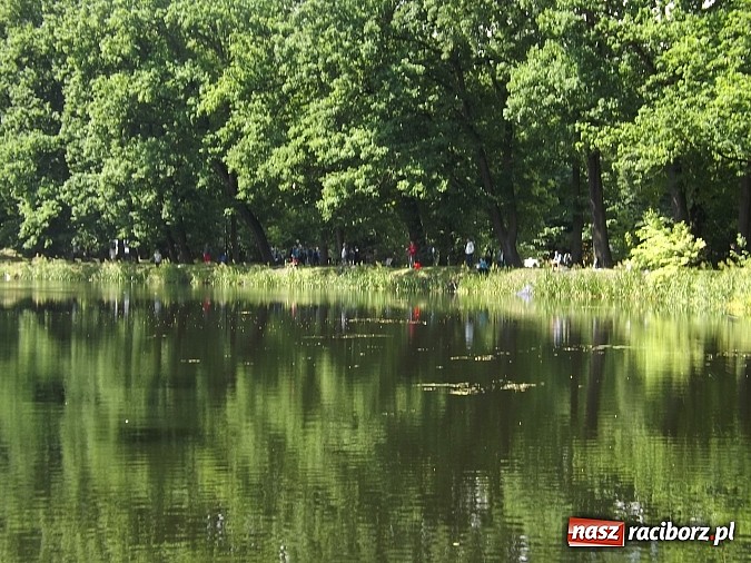 Zdjęcie w galerii na portalu naszraciborz.pl: I Mistrzostwa Polski MOW w Wędkarstwie Spławikowym przy starym opactwie wiadomości z regionu