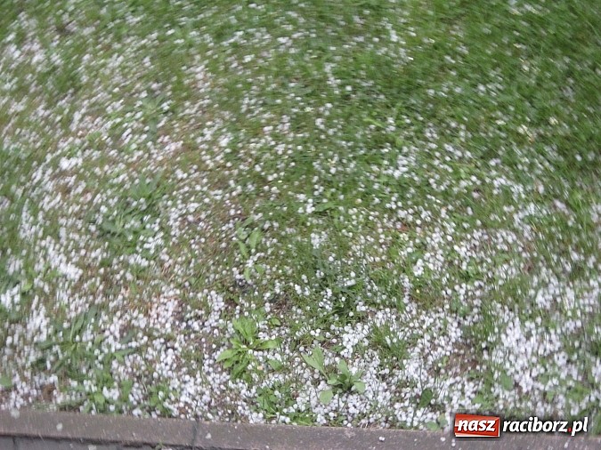 Zdjęcie w galerii na portalu naszraciborz.pl: Burza i potężne gradobicie w Rudach  wiadomości z regionu