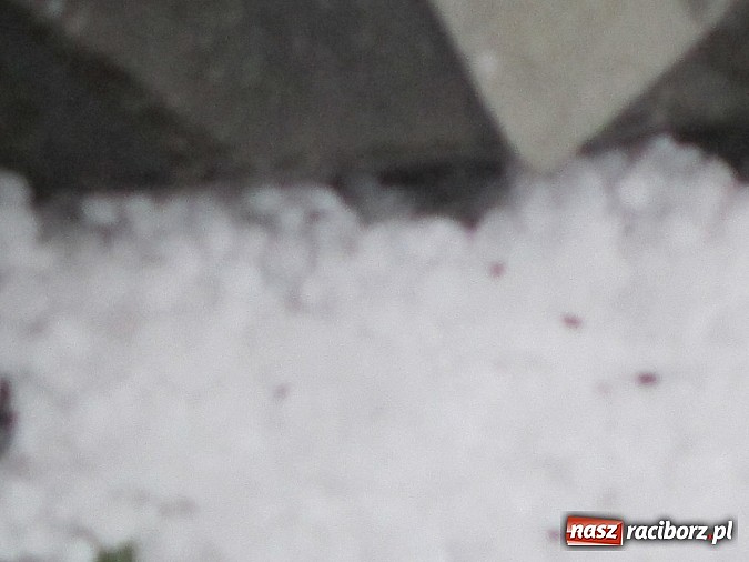 Zdjęcie w galerii na portalu naszraciborz.pl: Burza i potężne gradobicie w Rudach  wiadomości z regionu