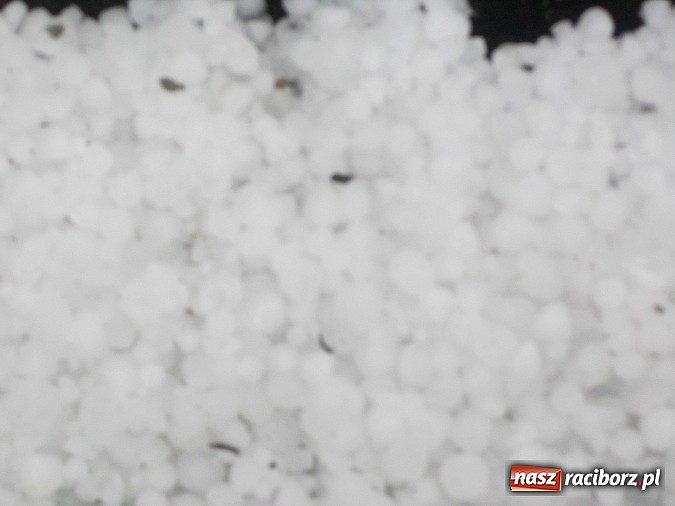 Zdjęcie w galerii na portalu naszraciborz.pl: Burza i potężne gradobicie w Rudach  wiadomości z regionu