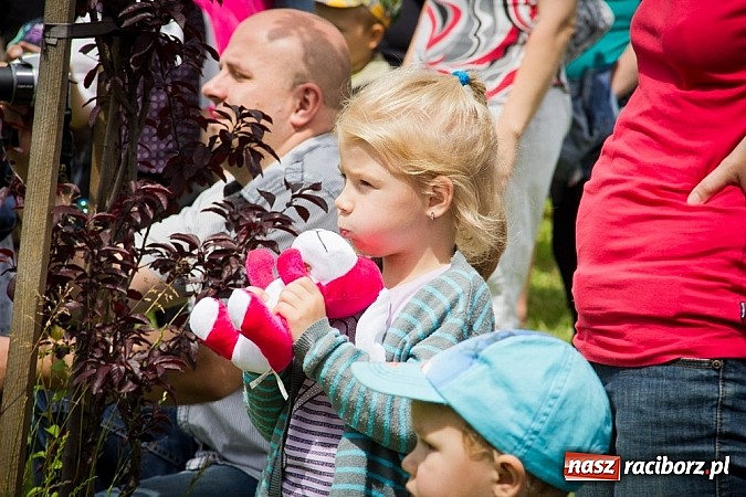 Zdjęcie w galerii na portalu naszraciborz.pl: W żłobku odbył się bal absolwenta wiadomości z regionu