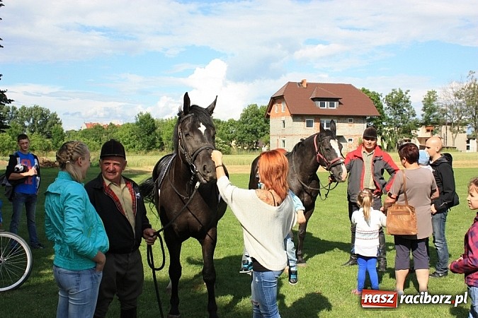 Zdjęcie w galerii na portalu naszraciborz.pl: Wczoraj konie podkuwali, dziś międzynarodowe zawody konne w skokach przez przeszkody wiadomości z regionu