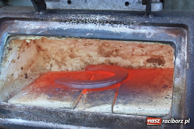 Zdjęcie w galerii na portalu naszraciborz.pl: Wczoraj konie podkuwali, dziś międzynarodowe zawody konne w skokach przez przeszkody wiadomości z regionu