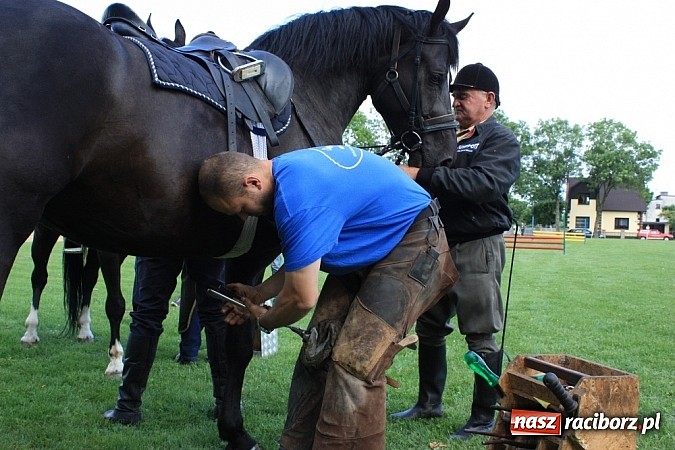 Zdjęcie w galerii na portalu naszraciborz.pl: Wczoraj konie podkuwali, dziś międzynarodowe zawody konne w skokach przez przeszkody wiadomości z regionu