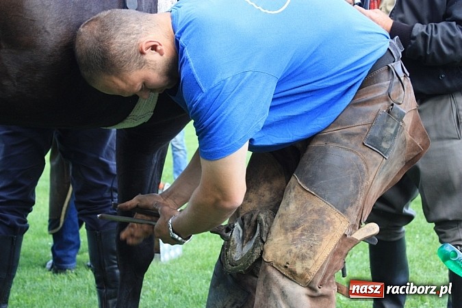 Zdjęcie w galerii na portalu naszraciborz.pl: Wczoraj konie podkuwali, dziś międzynarodowe zawody konne w skokach przez przeszkody wiadomości z regionu