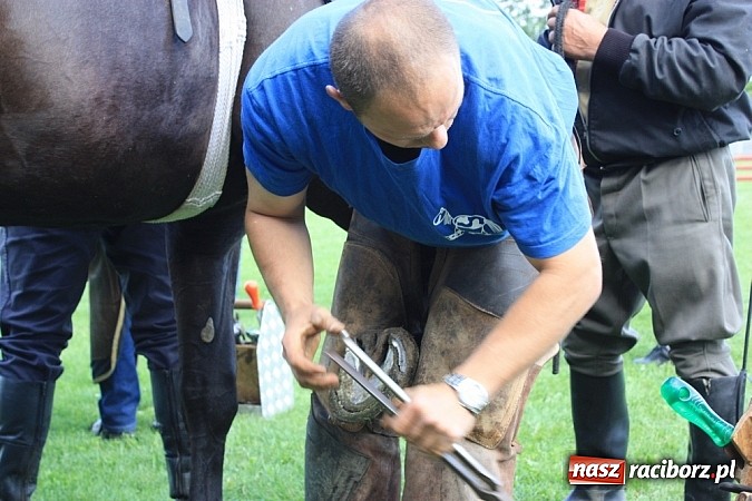 Zdjęcie w galerii na portalu naszraciborz.pl: Wczoraj konie podkuwali, dziś międzynarodowe zawody konne w skokach przez przeszkody wiadomości z regionu