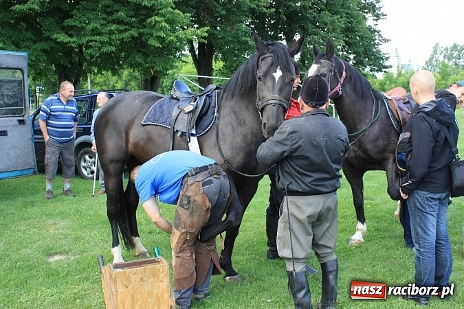 Zdjęcie w galerii na portalu naszraciborz.pl: Wczoraj konie podkuwali, dziś międzynarodowe zawody konne w skokach przez przeszkody wiadomości z regionu