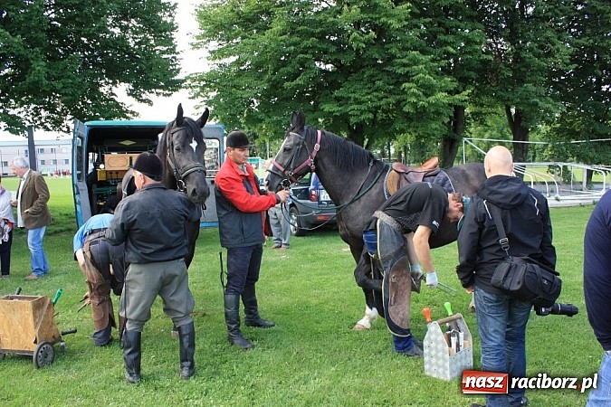 Zdjęcie w galerii na portalu naszraciborz.pl: Wczoraj konie podkuwali, dziś międzynarodowe zawody konne w skokach przez przeszkody wiadomości z regionu