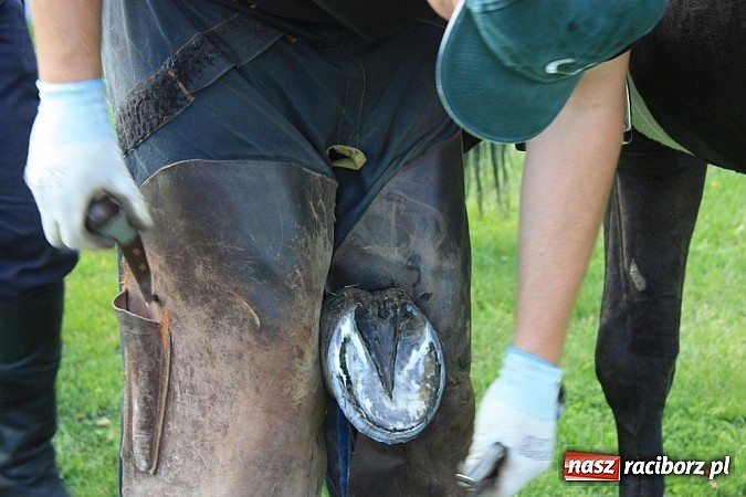 Zdjęcie w galerii na portalu naszraciborz.pl: Wczoraj konie podkuwali, dziś międzynarodowe zawody konne w skokach przez przeszkody wiadomości z regionu