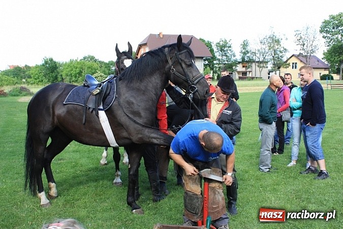Zdjęcie w galerii na portalu naszraciborz.pl: Wczoraj konie podkuwali, dziś międzynarodowe zawody konne w skokach przez przeszkody wiadomości z regionu