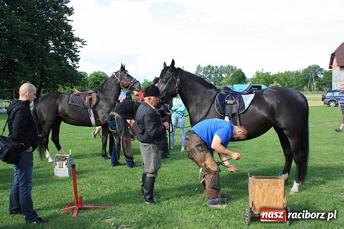 Zdjęcie w galerii na portalu naszraciborz.pl: Wczoraj konie podkuwali, dziś międzynarodowe zawody konne w skokach przez przeszkody wiadomości z regionu