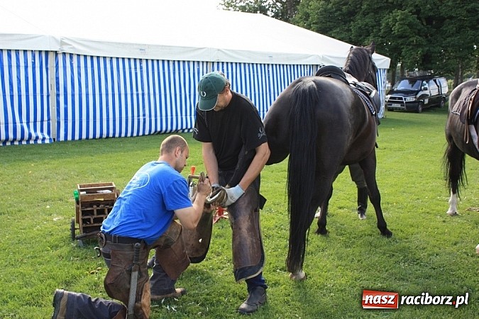 Zdjęcie w galerii na portalu naszraciborz.pl: Wczoraj konie podkuwali, dziś międzynarodowe zawody konne w skokach przez przeszkody wiadomości z regionu