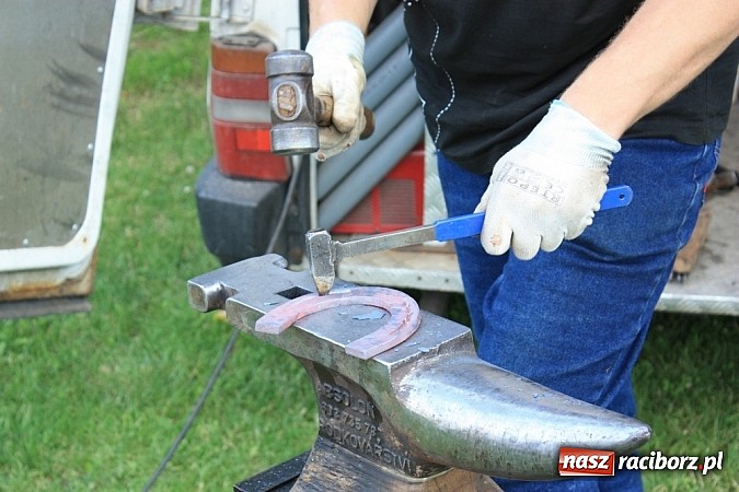 Zdjęcie w galerii na portalu naszraciborz.pl: Wczoraj konie podkuwali, dziś międzynarodowe zawody konne w skokach przez przeszkody wiadomości z regionu