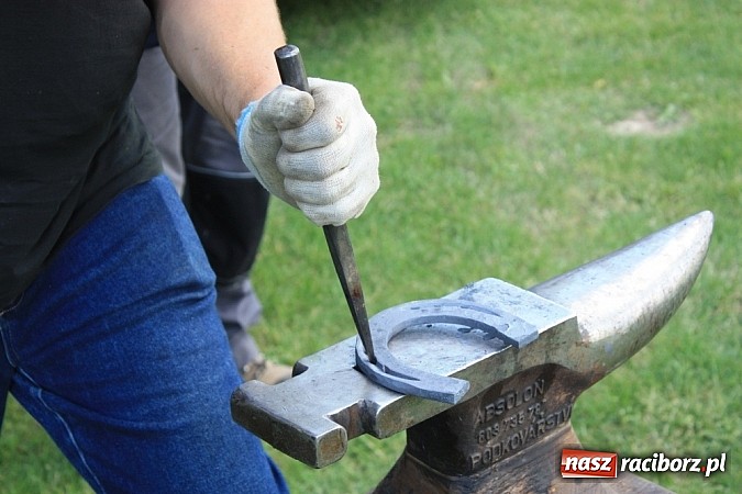 Zdjęcie w galerii na portalu naszraciborz.pl: Wczoraj konie podkuwali, dziś międzynarodowe zawody konne w skokach przez przeszkody wiadomości z regionu