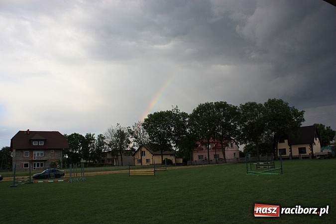 Zdjęcie w galerii na portalu naszraciborz.pl: Wczoraj konie podkuwali, dziś międzynarodowe zawody konne w skokach przez przeszkody wiadomości z regionu