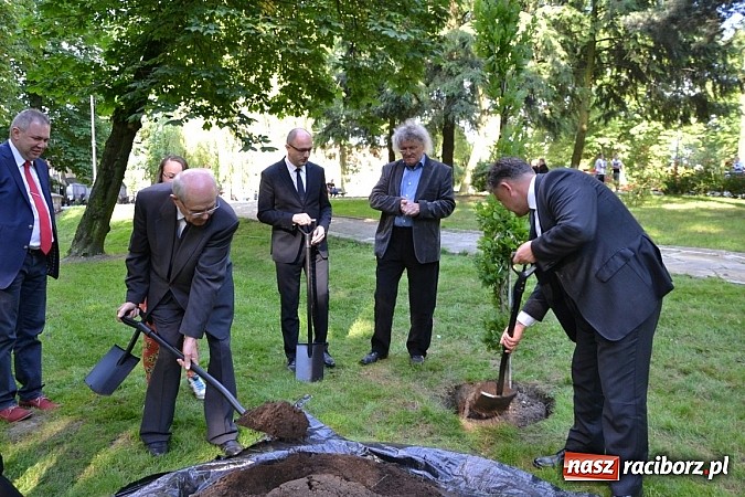 Zdjęcie w galerii na portalu naszraciborz.pl: Gmina Krzyżanowice świętowała swoje 40-lecie wiadomości z regionu