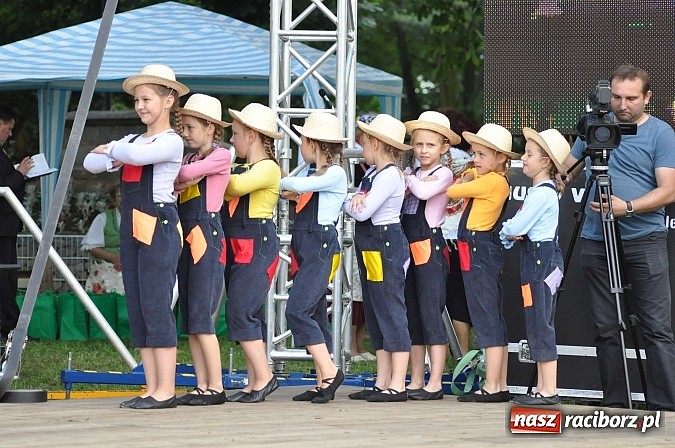 Zdjęcie w galerii na portalu naszraciborz.pl: Gmina Krzyżanowice świętowała swoje 40-lecie wiadomości z regionu