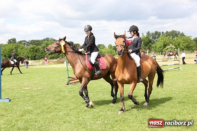Zdjęcie w galerii na portalu naszraciborz.pl: Potęga skoku, czyli Międzynarodowe Zawody Konne w skokach przez przeszkody wiadomości z regionu