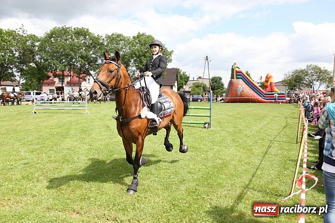 Zdjęcie w galerii na portalu naszraciborz.pl: Potęga skoku, czyli Międzynarodowe Zawody Konne w skokach przez przeszkody wiadomości z regionu