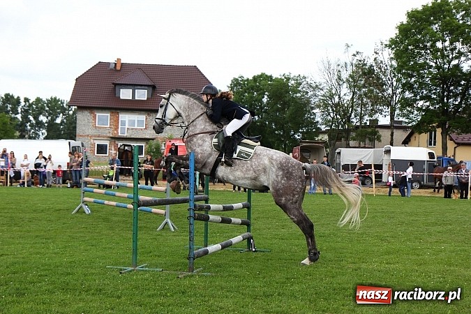 Zdjęcie w galerii na portalu naszraciborz.pl: Potęga skoku, czyli Międzynarodowe Zawody Konne w skokach przez przeszkody wiadomości z regionu